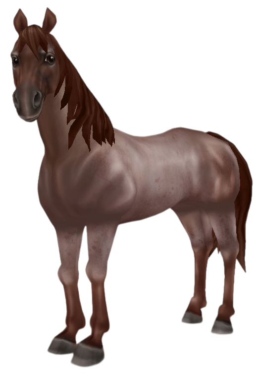 American Quarter Horse in Star Stable Online