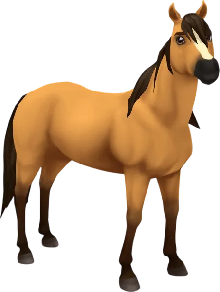 Mustang, Dun