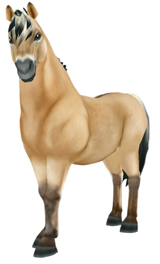 Fjord in Star Stable Online