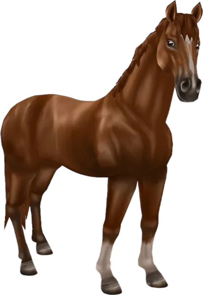 English Thoroughbred, Chestnut