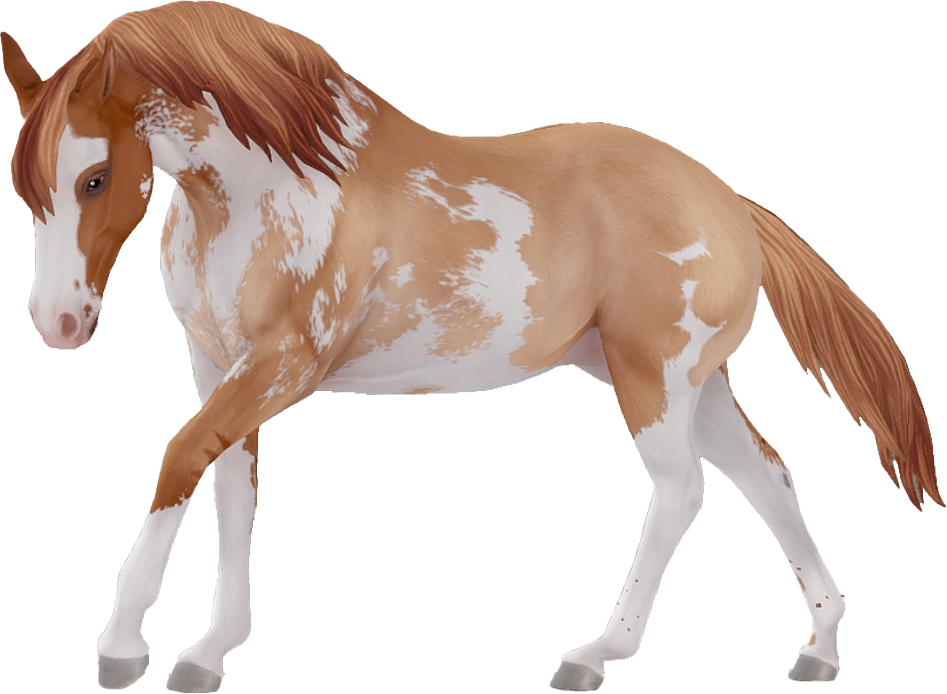 American Paint Horse in Star Stable Online