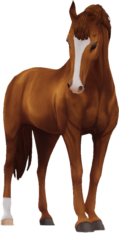 Belgian Warmblood in Star Stable Online