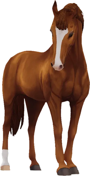 Belgian Warmblood, Chestnut