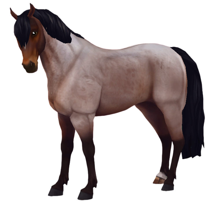 Jorvik Connemara in Star Stable Online