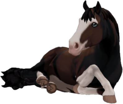 Finnhorse in Star Stable Online