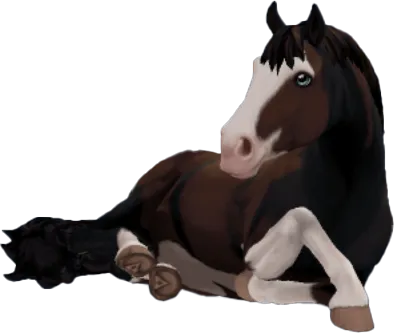 Finnhorse, Black/Chestnut Mosaic
