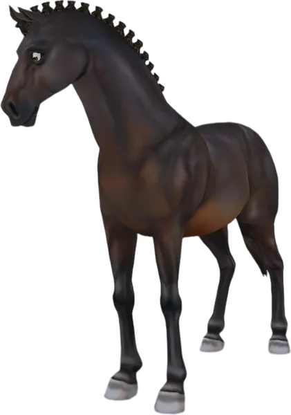 Danish Warmblood, Seal Brown