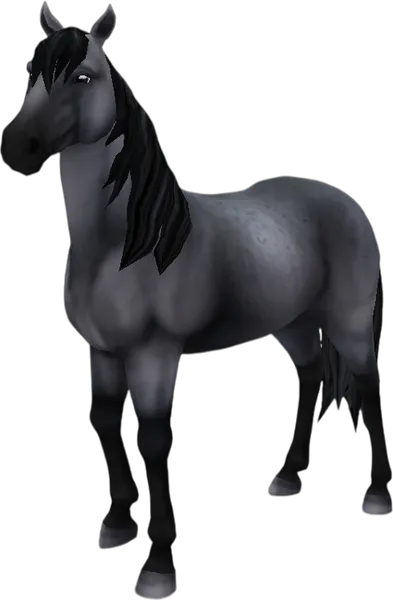 Mustang, Blue Roan
