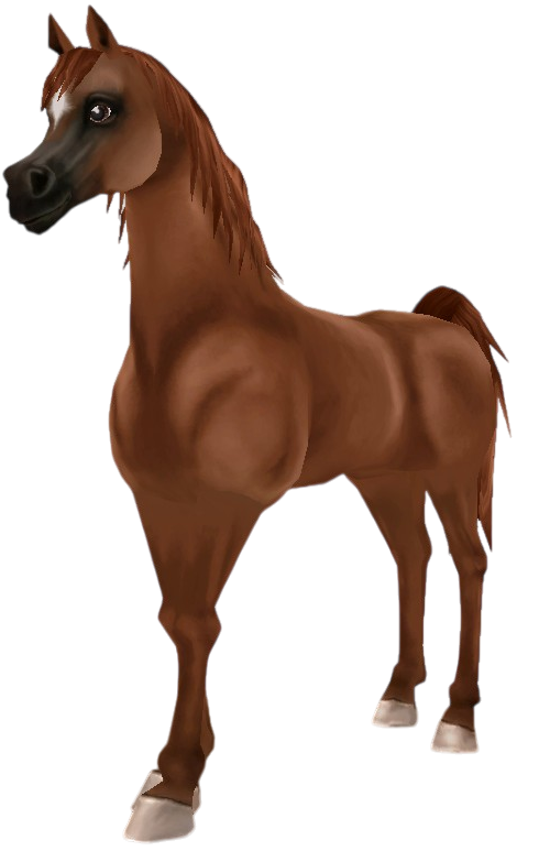 Arabian Thoroughbred in Star Stable Online
