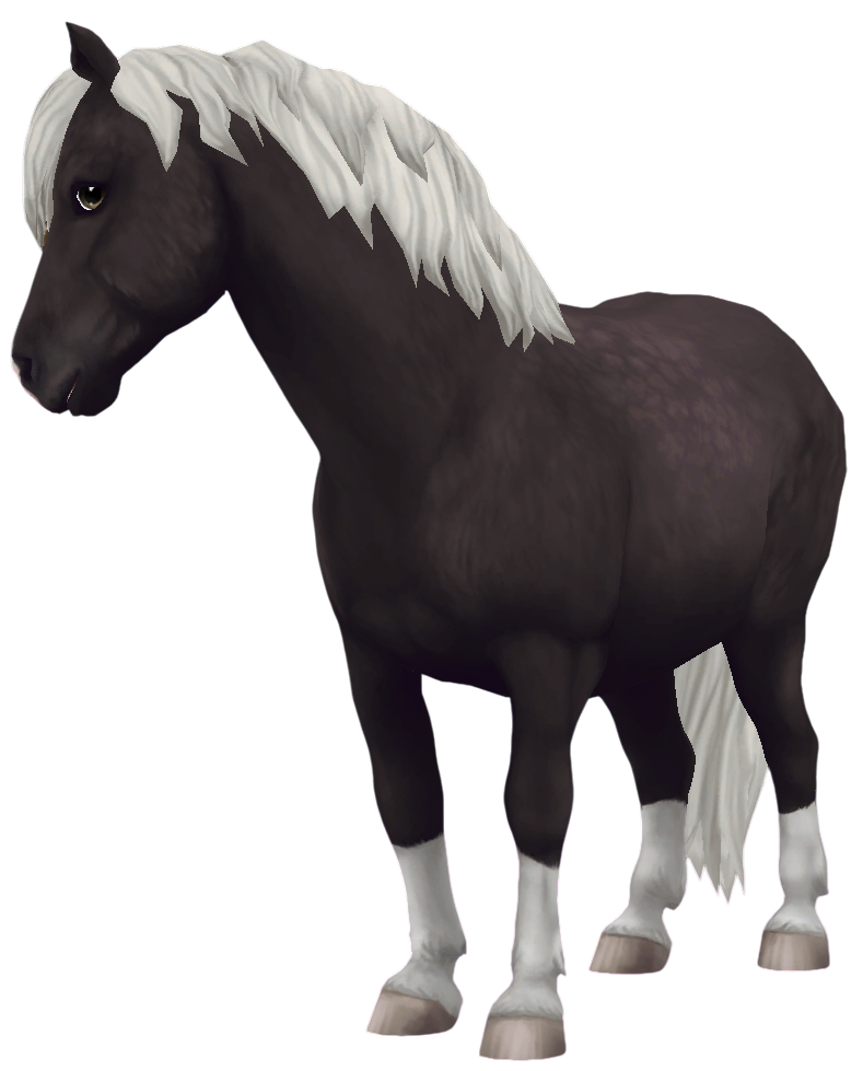 Jorvik Pony in Star Stable Online