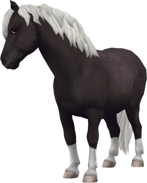 Jorvik Pony, Silver Black