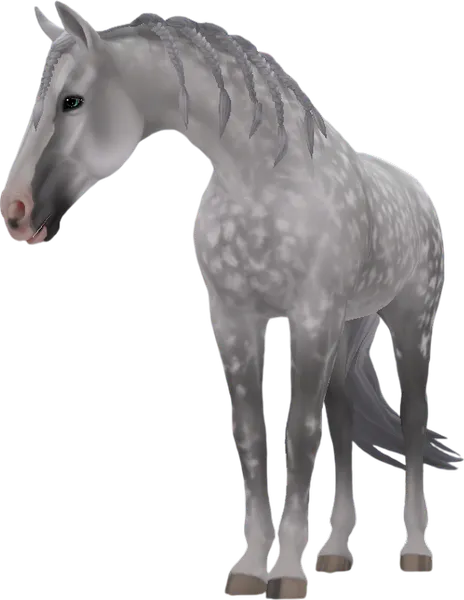 Tennessee Walking Horse, Dapple Grey
