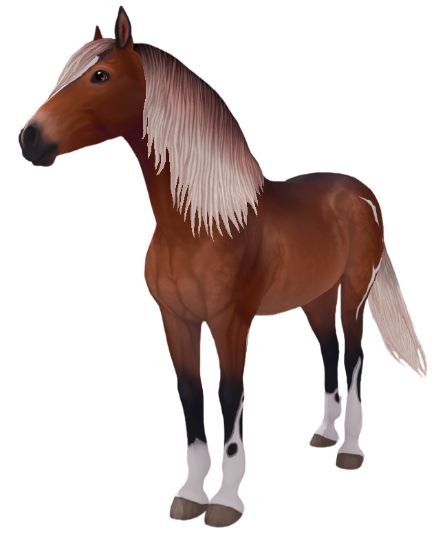 Paso Fino in Star Stable Online