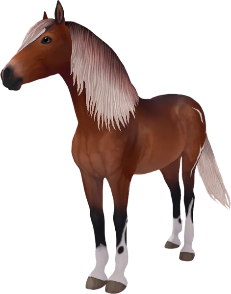 Paso Fino, Silver Bay Pinto