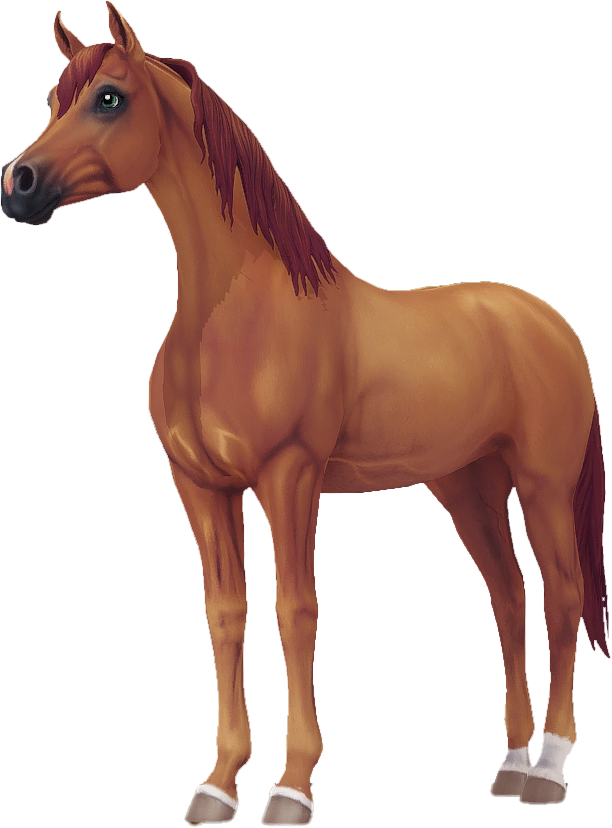 Arabian in Star Stable Online