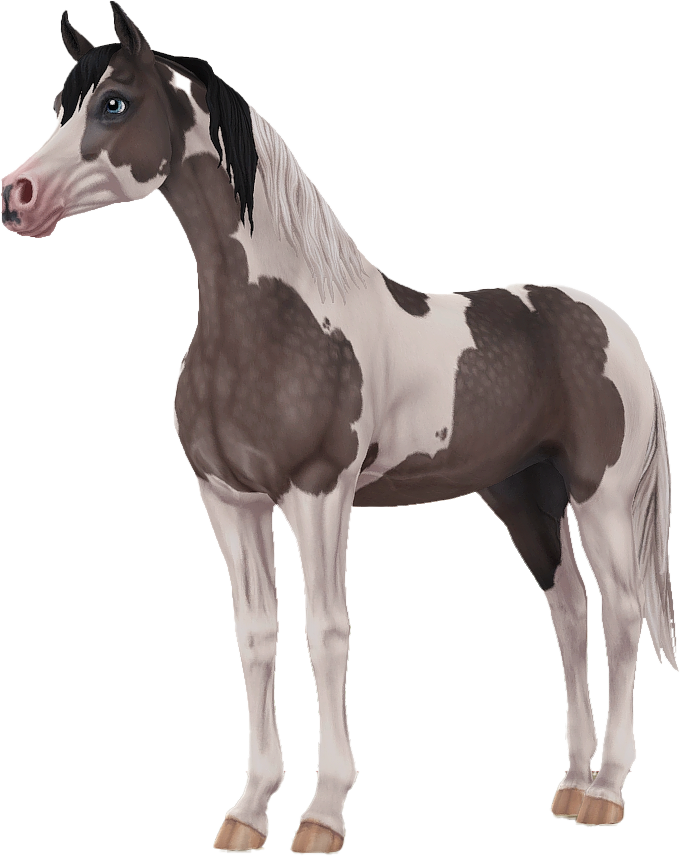 Pintabian in Star Stable Online