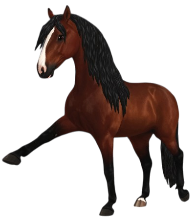 Andalusian in Star Stable Online