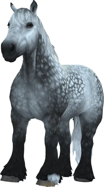 Brabant, Dapple Grey