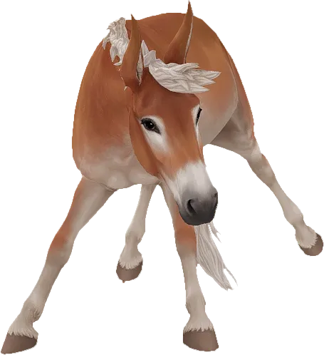 Mule, Flaxen Chestnut Pangare