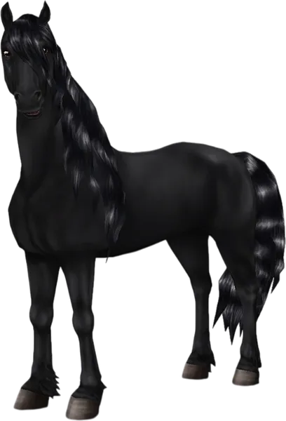 Friesian, Coal Black