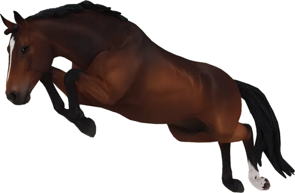 Hanoverian, Sooty Bay