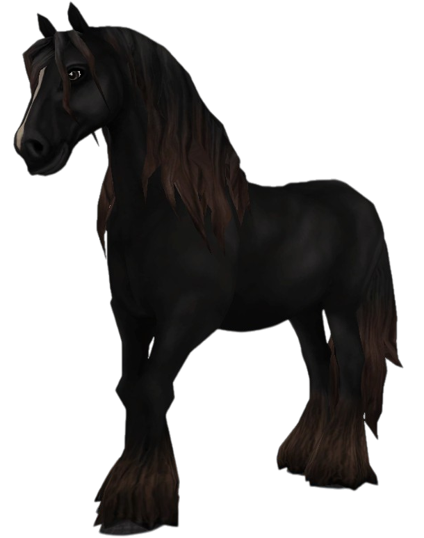 Irish Cob in Star Stable Online