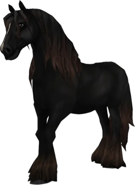 Irish Cob, Sun Bleached Black