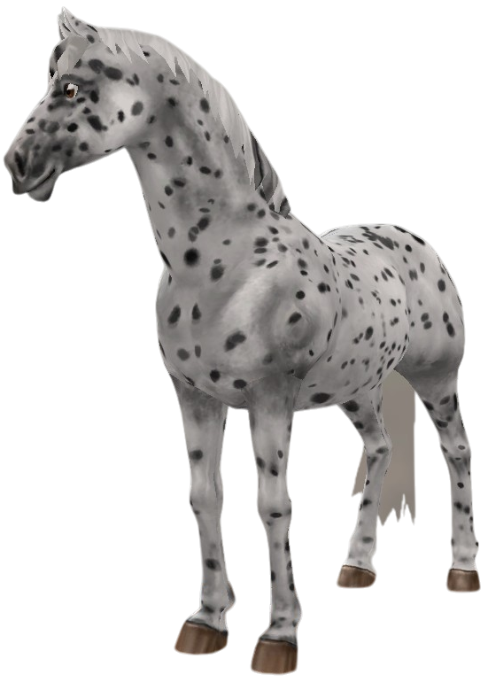 Appaloosa in Star Stable Online