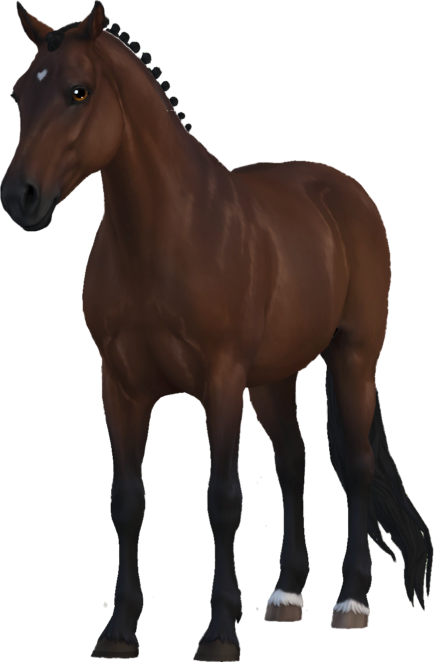 Connemara in Star Stable Online