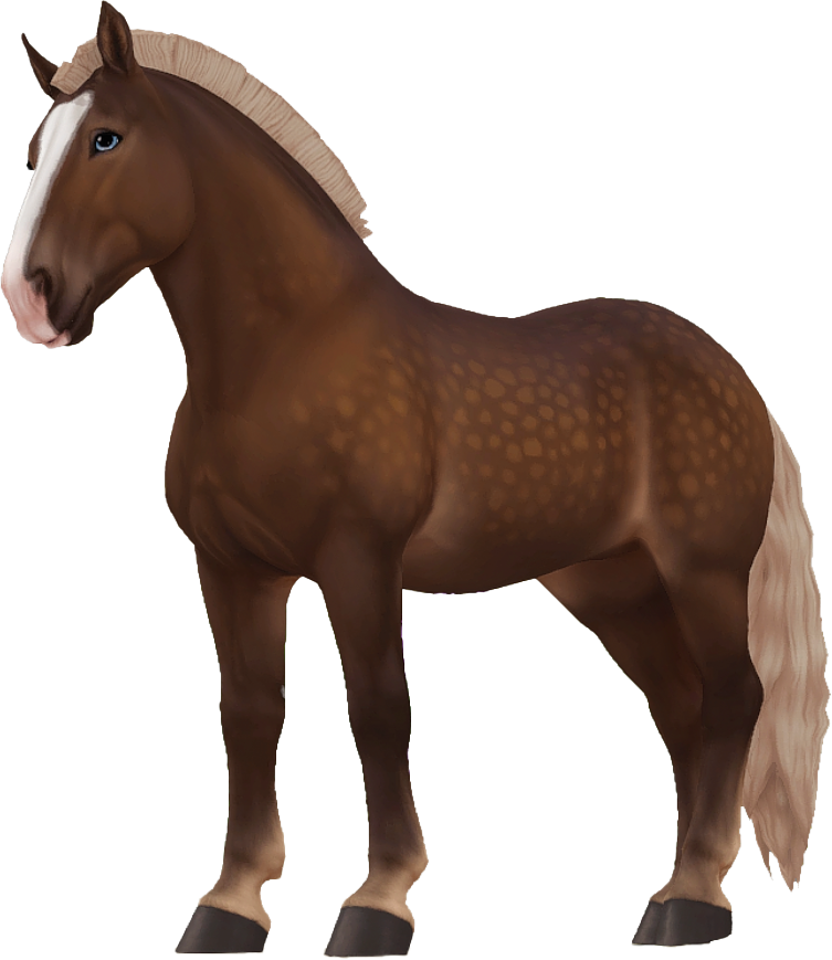 Noriker in Star Stable Online