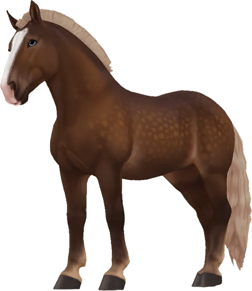 Noriker, Flaxen Chestnut