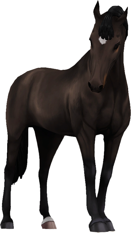 Belgian Warmblood in Star Stable Online