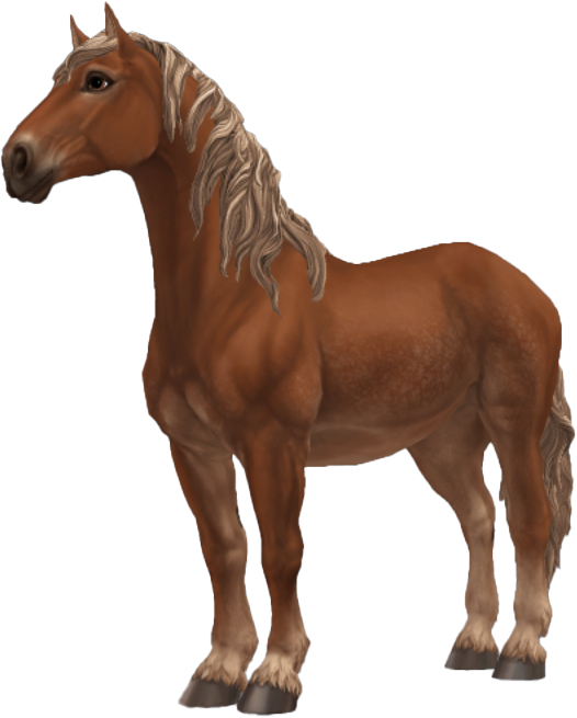 Percheron in Star Stable Online
