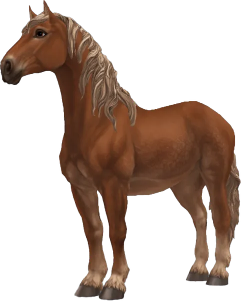Percheron, Flaxen Chestnut