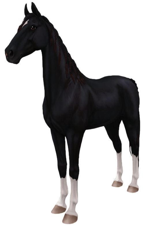 American Saddlebred in Star Stable Online