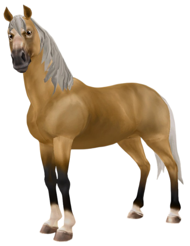 Morab in Star Stable Online