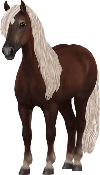 Haflinger, Liver Flaxen Chestnut