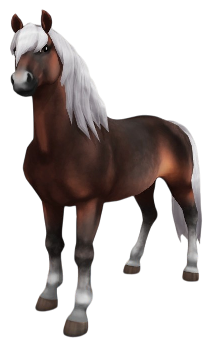 Haflinger in Star Stable Online