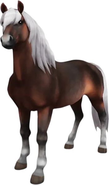 Haflinger, Dapple Liver Flaxen Chestnut Pangaré