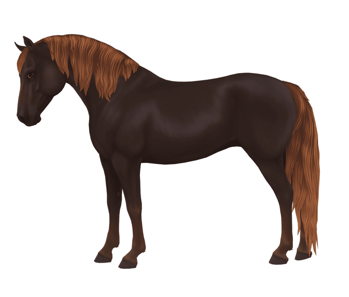Morgan in Star Stable Online
