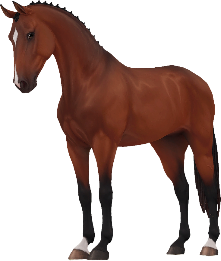 Selle Francais in Star Stable Online