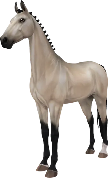 American Saddlebred, Buttermilk Buckskin