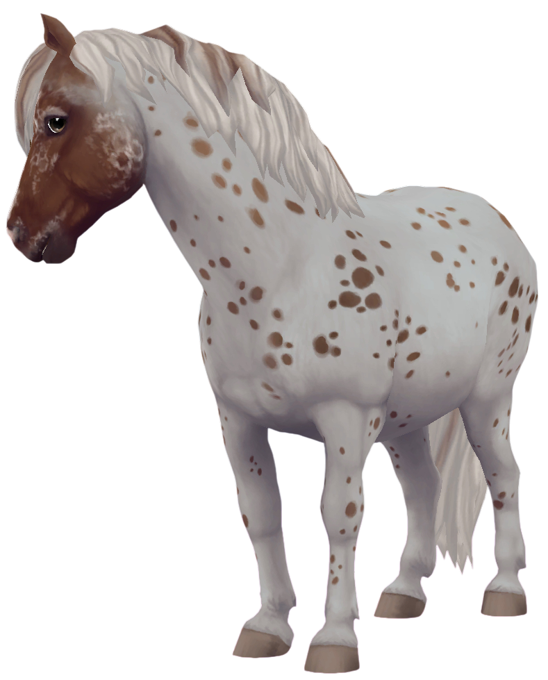 Jorvik Pony in Star Stable Online