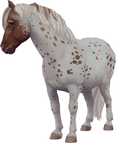 Jorvik Pony, Chestnut Leopard