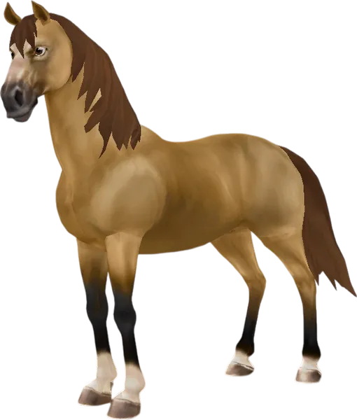 Morgan, Amber Champagne Buckskin