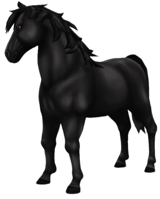 Nixie in Star Stable Online