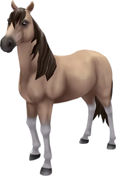 Mustang, Buckskin