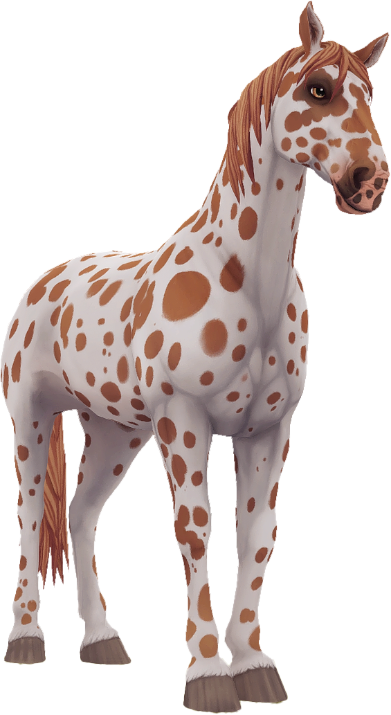 Knabstrupper in Star Stable Online