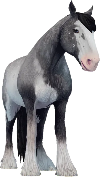 Clydesdale, Blue Roan Sabino