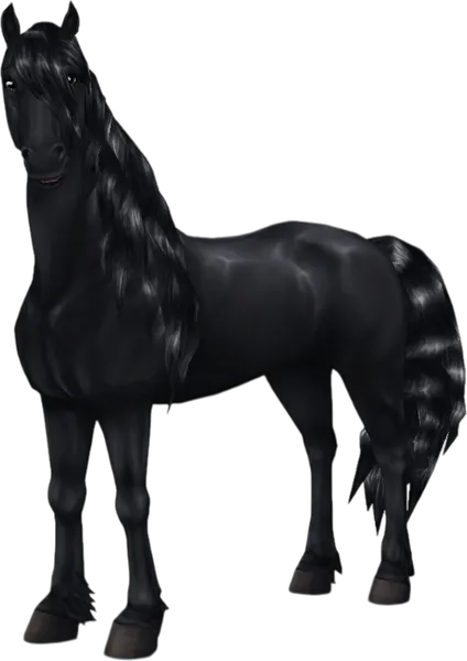 Friesian, Jet Black